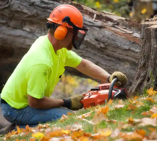 tree services Houghton